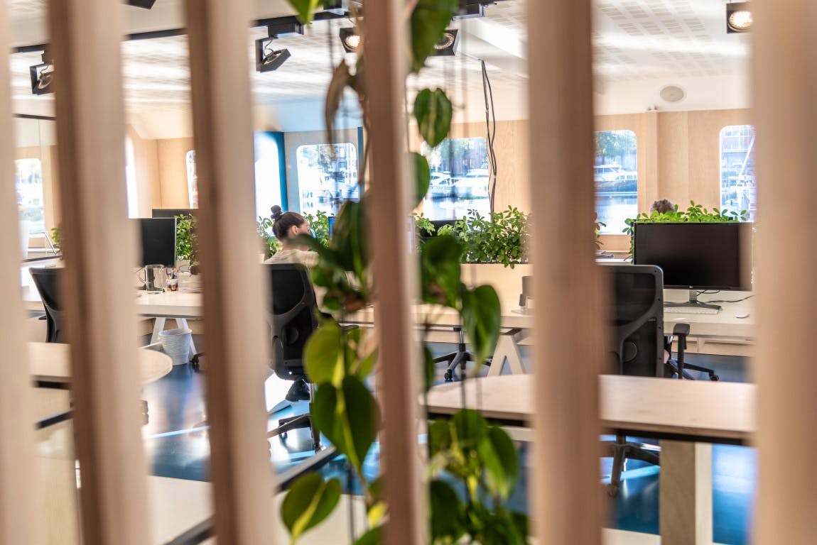 Friendship — thumbnail 5